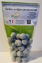 Bonbons à l’eucalyptus fourrés au miel – fraîcheur intense et apaisante